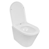 Унитаз подвесной Azario Teramo 515х355х365 безободковый, скрытое крепление, смыв "Торнадо", в комплекте с сидением микролифт арт-AZ-0053-UQ3 — фото 1, Подвесные унитазы