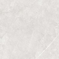 GT60601406MR-3 Керамогранит Bliss_GT Серый 60x60 _ 1\46,08 — фото 9, Керамогранит