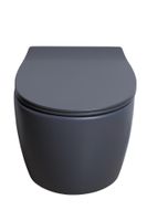 Крышка-сиденье для унитаза Allen Brau Fantasy Smartfix, Soft-Close 4.11005.AN антрацит — фото 1, Сиденья для унитаза