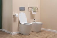 Товар: Унитаз приставной Aquanet Rimless LX-1906 арт-Atago 2.0 F - фото 11 Унитаз приставной Aquanet Rimless LX-1906 арт-Atago 2.0 F — фото 11, Приставные унитазы