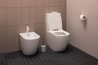 Товар: Чаша напольного унитаза Aquanet Rimless Cetus-C1 BL-102N-TPT - фото 23 Чаша напольного унитаза Aquanet Rimless Cetus-C1 BL-102N-TPT — фото 23, Напольные унитазы