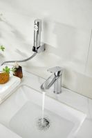 Смеситель для раковины с гигиеническим душем BELZ, хром, арт-B12713 — фото 3, Смесители для раковины