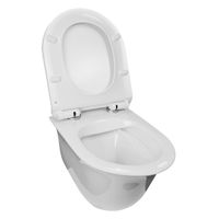 Товар: Унитаз подвесной Azario Felice 490х360х360 безободковый, быстросъемное сиденье микролифт арт-AZ-0051 - фото 2 Унитаз подвесной Azario Felice 490х360х360 безободковый, быстросъемное сиденье микролифт арт-AZ-0051 — фото 2, Подвесные унитазы