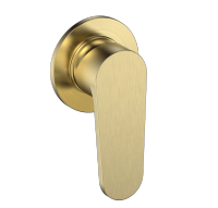 Novara Встраиваемый смеситель в комплекте с внутр. частью, цвет золото шлифованное арт-AQM8813BG — фото 1, Смеситель для душа