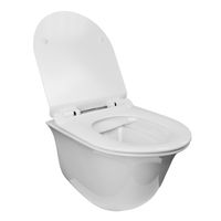 Унитаз подвесной Azario Felice 490х360х360 безободковый, быстросъемное сиденье микролифт арт-AZ-0051 — фото 1, Подвесные унитазы