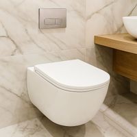 Унитаз подвесной Azario FOTE 340х480х350 безободковый, слив "Скрытое Торнадо", с быстросъемным сиденьем микролифт арт-AZ-116-UQ3 — фото 14, Подвесные унитазы