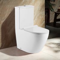 Унитаз-моноблок AZARIO MORANO 680x370х830 напольный, безободковый, в комплекте со смывным механизмом Geberit и сиденьем дюропласт микролифт арт-AZ-1001-G — фото 13, Напольные унитазы