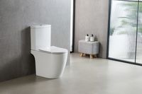 Унитаз-компакт Azario LEO TORNADO FLUSHING 360х595х820 напольный, безободковый, слив "Торнадо", в комплекте с быстросъемным сиденьем микролифт арт-AZ-1253CT — фото 9, Напольные унитазы