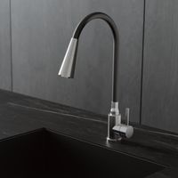 Смеситель для кухни с гибким изливом и режимом душ BELZ , сатин арт-B74809-1 — фото 1, Смесители для кухни