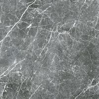 Плитка Гранитея (1,44 кв.м.) арт-G285-Payer Black 600х600 PR — фото 2, Керамическая плитка