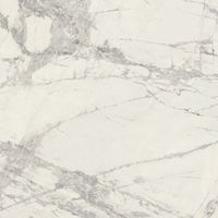 Плитка 243 20584 Prexious арт. арт-755862 — фото 1, Керамическая плитка