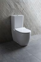 Товар: Чаша напольного унитаза Allen Brau Priority 4.31003.20 белый - фото 19 Чаша напольного унитаза Allen Brau Priority 4.31003.20 белый — фото 19, Напольные унитазы