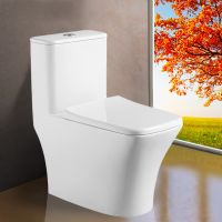 Унитаз-моноблок AZARIO Teano 695x370x740 напольный, горизонтальный слив, сиденье дюропласт микролифт арт-AZ-8621 — фото 3, Напольные унитазы