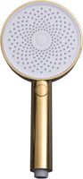 Душевая лейка Allen Brau Priority 5.31B20-GB золото — фото 3, Лейки для душа