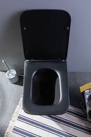 Товар: Унитаз подвесной Aquanet Rimless Tavr-W BL-103N-WHT black черный матовый TAVR-W BW - фото 25 Унитаз подвесной Aquanet Rimless Tavr-W BL-103N-WHT black черный матовый TAVR-W BW — фото 25, Подвесные унитазы