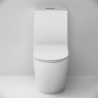 C8F8900SC Func Унитаз-моноблок безободковый с сиденьем — фото 4, Напольные унитазы