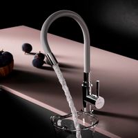 F85B07605 X-Joy S, смеситель для кухни с гибким изливом, серый/хром — фото 1, Смесители для кухни