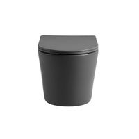 Товар: Унитаз подвесной Piatti VT1-11SMA, цвет антрацит матовый, ультратонкое soft-close сиденье - фото 7 Унитаз подвесной Piatti VT1-11SMA, цвет антрацит матовый, ультратонкое soft-close сиденье — фото 7, Подвесные унитазы