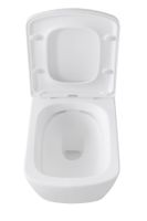 Унитаз с инсталляцией Allen Brau Liberty, с гигиеническим душем 279260+280865+325594+306280+314382 — фото 8, Комплекты унитаз + инсталляция