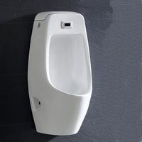 Писсуар подвесной CeramaLux арт-X546P — фото 1, Писсуары