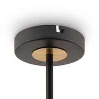 Товар: Потолочный светильник Freya FR5370CL-04B - фото 6 Потолочный светильник Freya FR5370CL-04B — фото 6, Подвесные светильники