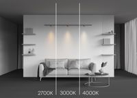 Товар: Трековый светильник Technical TR188-1-5W2.7K-M-BBS - фото 3 Трековый светильник Technical TR188-1-5W2.7K-M-BBS — фото 3, Трековые светильники