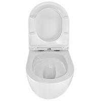 Товар: Унитаз подвесной Azario Gloria 360х490х360 безободковый, слив TORNADO, с быстросъемным сиденьем микролифт (AZ-2003Т) арт-AZ-2003T - фото 4 Унитаз подвесной Azario Gloria 360х490х360 безободковый, слив TORNADO, с быстросъемным сиденьем микролифт (AZ-2003Т) арт-AZ-2003T — фото 4, Подвесные унитазы