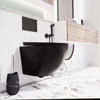 Товар: Унитаз подвесной Veconi Moro VMO-48TB - фото 1 Унитаз подвесной Veconi Moro VMO-48TB — фото 1, Подвесные унитазы