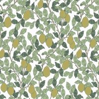 Обои 36 25222 Equator арт. арт-QTR3002 — фото 1, Обои для стен