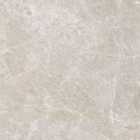 Плитка Гранитея (1,44 кв.м) арт-G314-Sinara Brown 600х600 MR — фото 1, Керамическая плитка