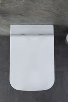 Унитаз с инсталляцией Allen Brau Infinity 4.21011.20/8.9466.0.000.000.1 белый глянец 00316506 — фото 21, Комплекты унитаз + инсталляция