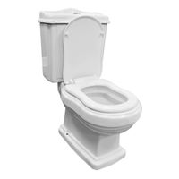 Унитаз-компакт Azario LORETTI 680х430х850 напольный, в комплекте с сиденьем полипропилен микролифт арт-AZ-239 — фото 1, Напольные унитазы