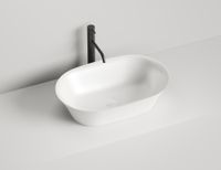 Раковина накладная MONA
покраска по RAL полностью 110811GF — фото 1, Раковины