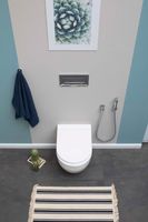 Товар: Унитаз подвесной Aquanet Rimless Glide-W CL-11042 - фото 18 Унитаз подвесной Aquanet Rimless Glide-W CL-11042 — фото 18, Подвесные унитазы