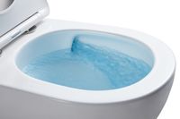 Товар: Унитаз подвесной Azario Grado 370х490х360 безободковый, система смыва "Торнадо", в комплекте с быстросъемным сидением "Микролифт" (AZ-0046-UQ) арт-AZ-0046-UQ1 - фото 7 Унитаз подвесной Azario Grado 370х490х360 безободковый, система смыва "Торнадо", в комплекте с быстросъемным сидением "Микролифт" (AZ-0046-UQ) арт-AZ-0046-UQ1 — фото 7, Подвесные унитазы