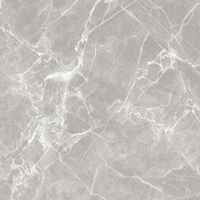 Товар: GT60601301MR-4 Керамогранит Solo_GT/MR Серый 60x60 _ 1\48,96 - фото 7 GT60601301MR-4 Керамогранит Solo_GT/MR Серый 60x60 _ 1\48,96 — фото 7, Керамогранит