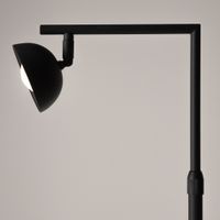 Напольный светильник (торшер) Maytoni арт-MOD372FL-L10B3K — фото 11, Торшеры