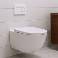 Товар: Унитаз подвесной Azario BONELLE 345х490х350 безободковый, смыв "Торнадо", с быстросъемным сиденьем микролифт арт-AZ-2801E - фото 14 Унитаз подвесной Azario BONELLE 345х490х350 безободковый, смыв "Торнадо", с быстросъемным сиденьем микролифт арт-AZ-2801E — фото 14, Подвесные унитазы