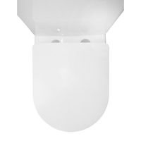 Унитаз-компакт Azario Flin 365х590х790 напольный, безободковый с быстросъемным сиденьем микролифт арт-AZ-1363C — фото 8, Напольные унитазы