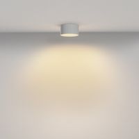 Потолочный светильник Technical C032CL-12W2.7K-RD-W — фото 6, Подвесные светильники