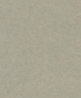 Обои Rasch Concrete арт-520279 — фото 1, Обои