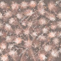 Фрески Affresco Rio арт-AF2080-COL5 — фото 1, Фрески