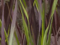 Фрески Wall Street Фрески арт-22473 — фото 1, Фрески