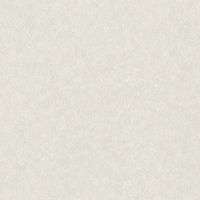 Товар: Обои RASCH Factory Style Винил на флизелине (1,06*10,05) Серый, Штукатурка арт-947656 - фото 1 Обои RASCH Factory Style Винил на флизелине (1,06*10,05) Серый, Штукатурка арт-947656 — фото 1, Обои