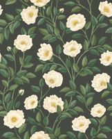 Обои Cole & Son Great Masters арт-118-7016 — фото 1, Обои