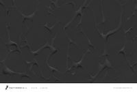 Фрески Fresq Pattern Roll арт-RELIEF47-09 — фото 1, Фрески