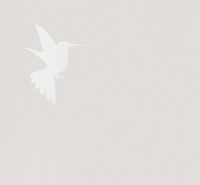 Обои Bernardo Bartalucci Legend Флизелин (1,06*10) Бежевый, Птицы арт-5071-1 — фото 1, Обои