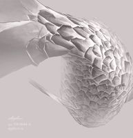 Товар: Фрески Applico Three арт-0044-A - фото 4 Фрески Applico Three арт-0044-A — фото 4, Фрески