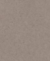 Товар: Обои Rasch Concrete арт-520873 - фото 1 Обои Rasch Concrete арт-520873 — фото 1, Обои