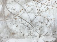 Фрески Wall Street Фрески арт-25344 — фото 1, Фрески